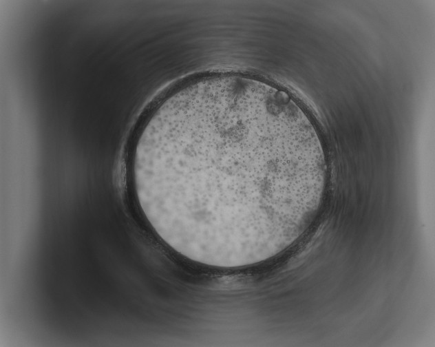 X0000102390584200808010936