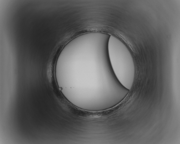 X0000102390586200808010936