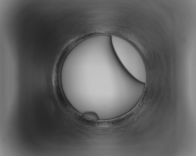 X0000102390587200808010936