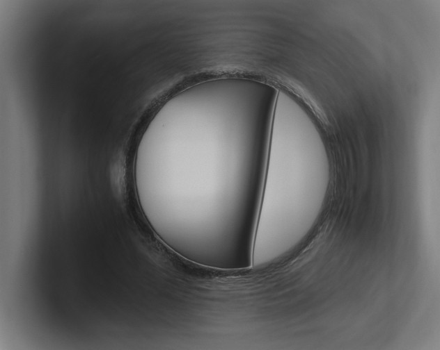 X0000102390588200808010936