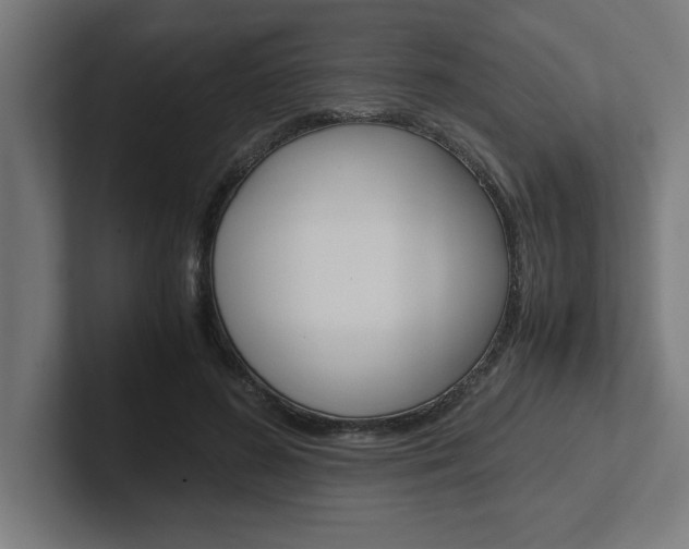 X0000102390596200808010936
