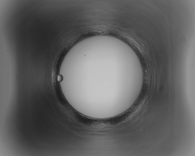 X0000102390597200808010936