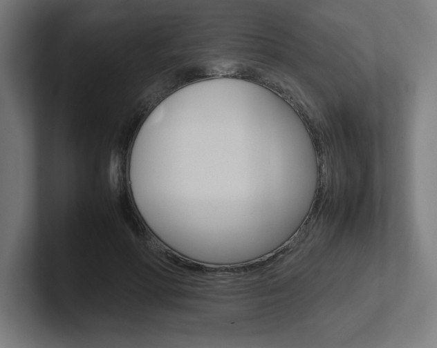 X0000102390598200808010936