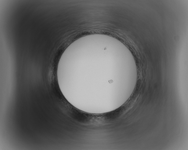 X0000102390599200808010936