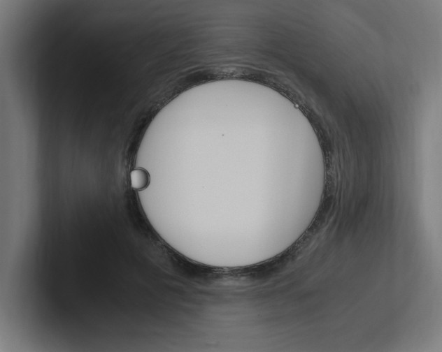 X0000102390601200808010936