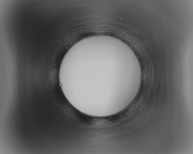 X0000102390605200808010936