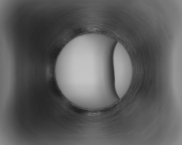 X0000102390606200808010936