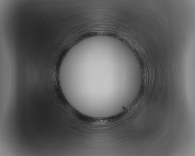 X0000102390609200808010936