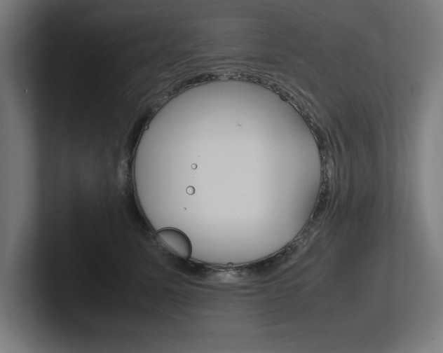 X0000102390611200808010936
