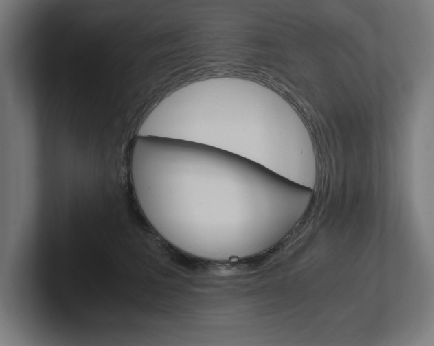 X0000102390613200808010936