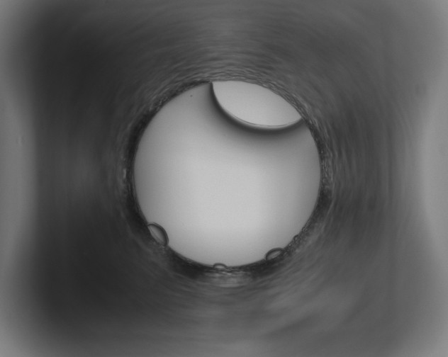 X0000102390615200808010936