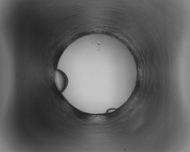 X0000102390617200808010936