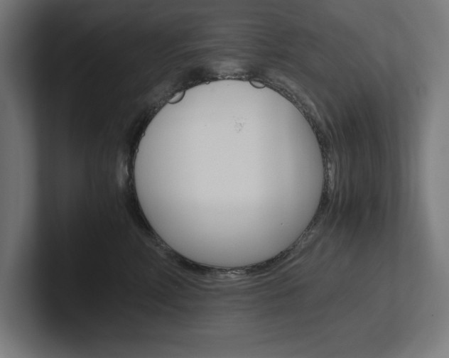 X0000102390618200808010936