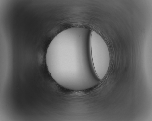 X0000102390619200808010936