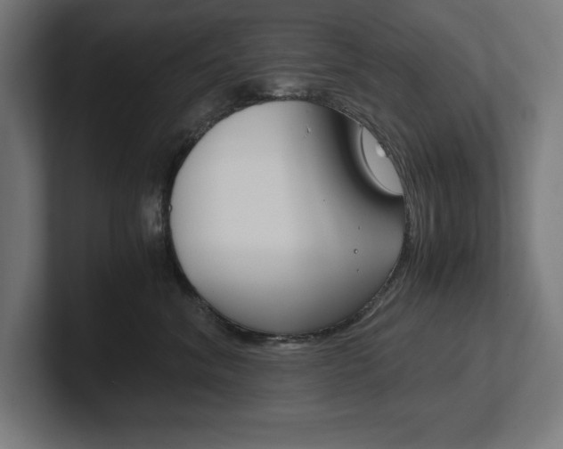 X0000102390620200808010936