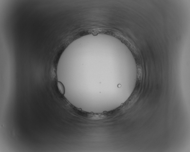 X0000102390621200808010936