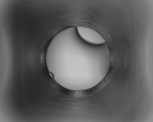X0000102390623200808010936
