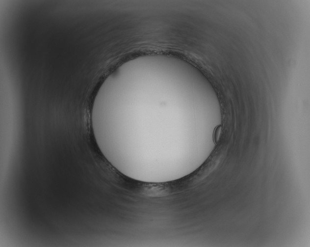 X0000102390624200808010936
