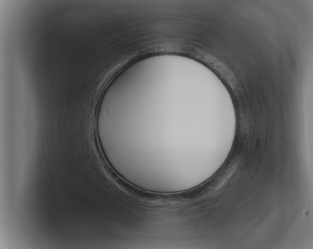 X0000102390625200808010935