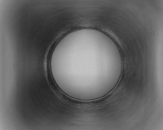 X0000102390626200808010935