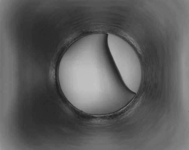 X0000102390633200808010935