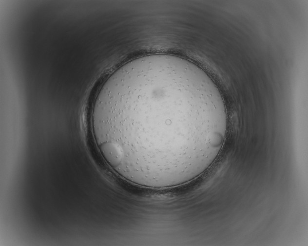 X0000102390638200808010935