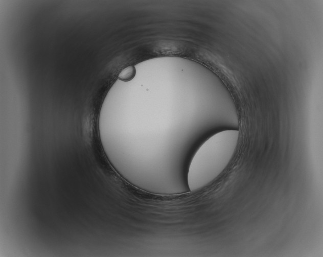 X0000102390645200808010935