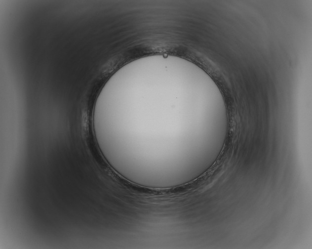 X0000102390646200808010935