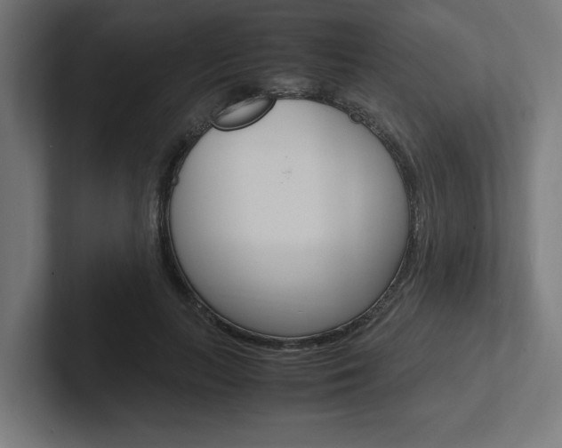 X0000102390647200808010935