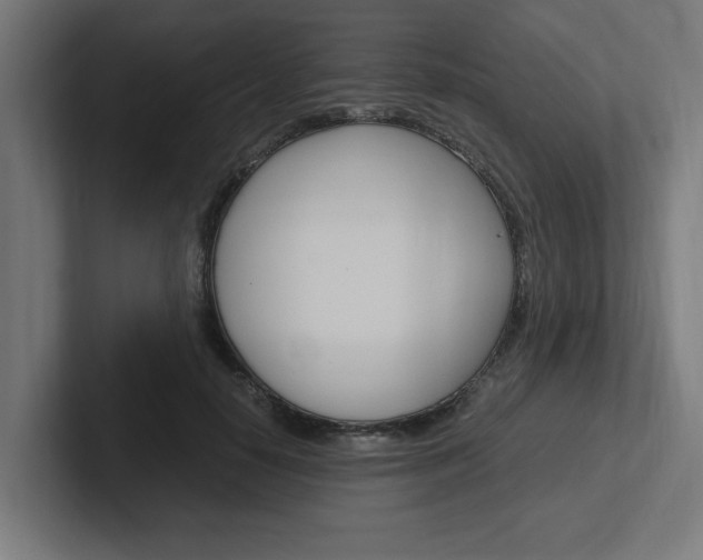 X0000102390650200808010935