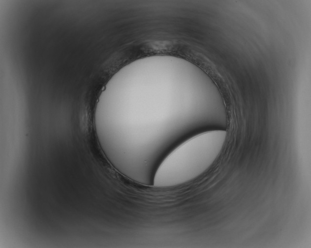 X0000102390651200808010935