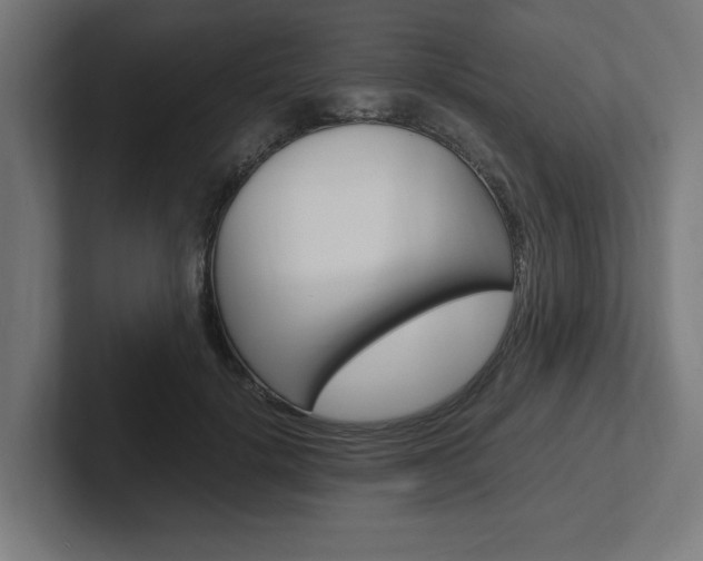 X0000102390652200808010935