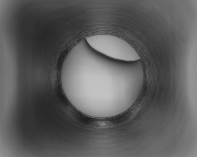 X0000102390654200808010935