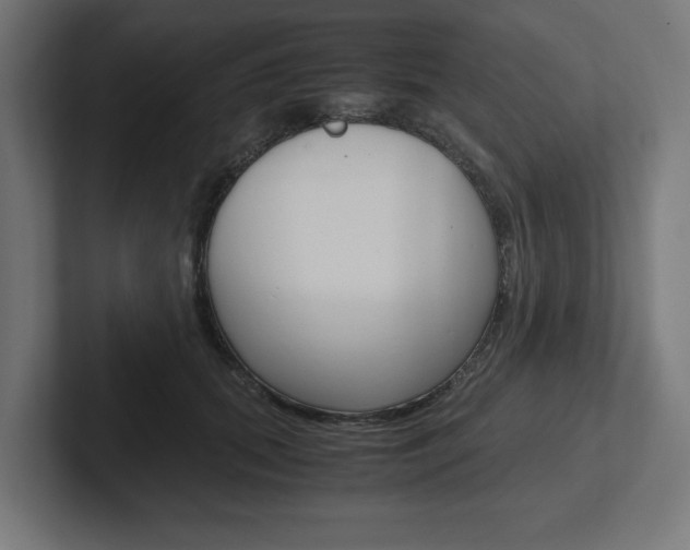 X0000102390655200808010935