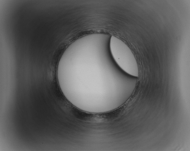 X0000102390656200808010935