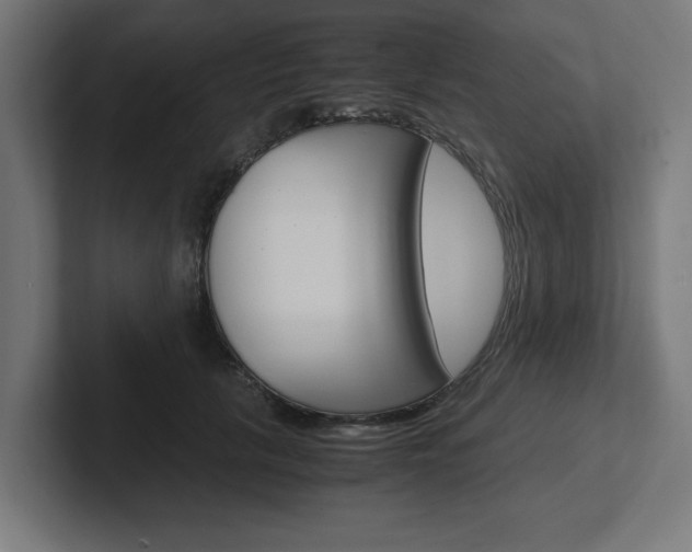 X0000102390657200808010935