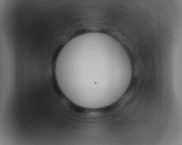 X0000102390658200808010935