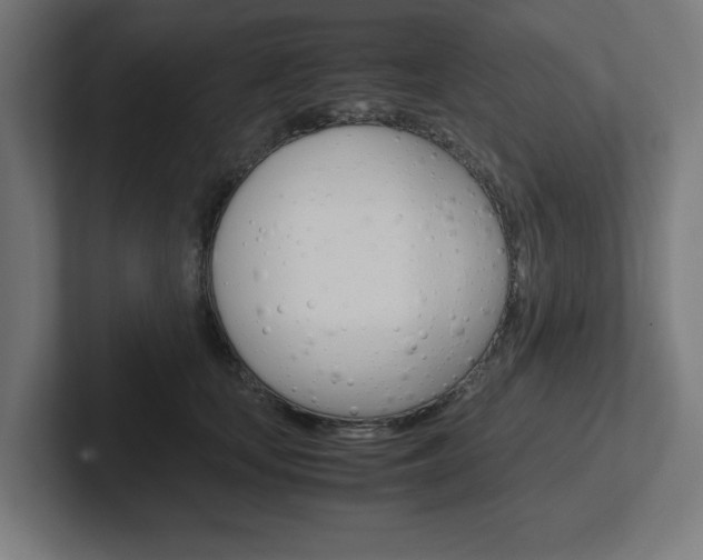 X0000102390659200808010935
