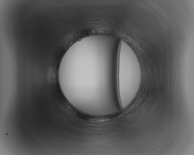X0000102390661200808010935