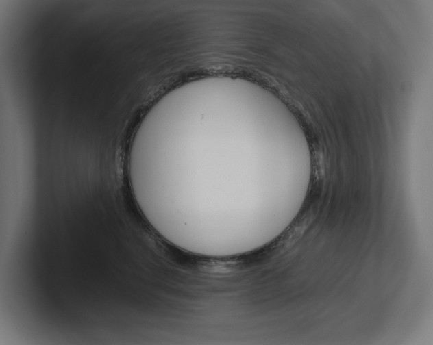 X0000102390664200808010936