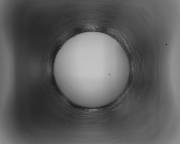 X0000102390665200808010936