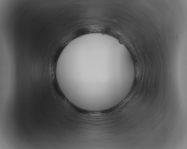 X0000102390666200808010936
