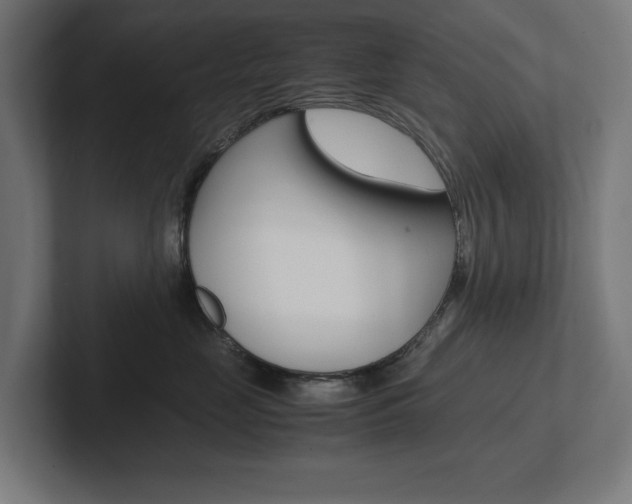 X0000102390669200808010936