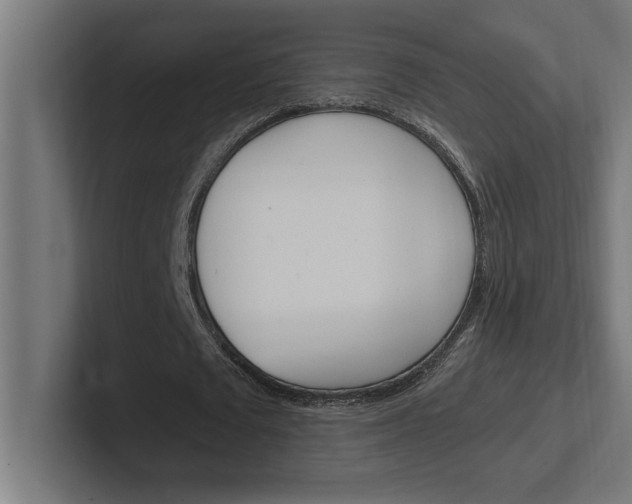 X0000102390673200808010935