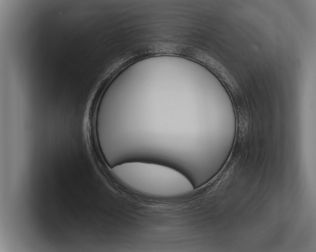 X0000102390674200808010935