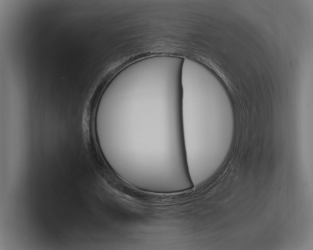 X0000102390675200808010935