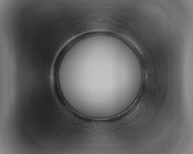 X0000102390676200808010935