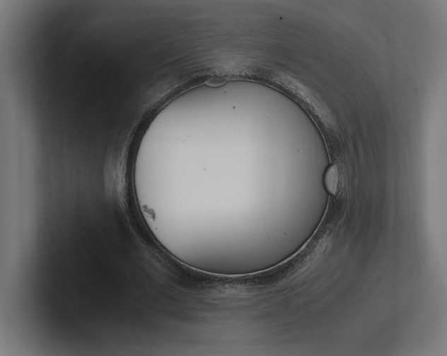 X0000102390677200808010935