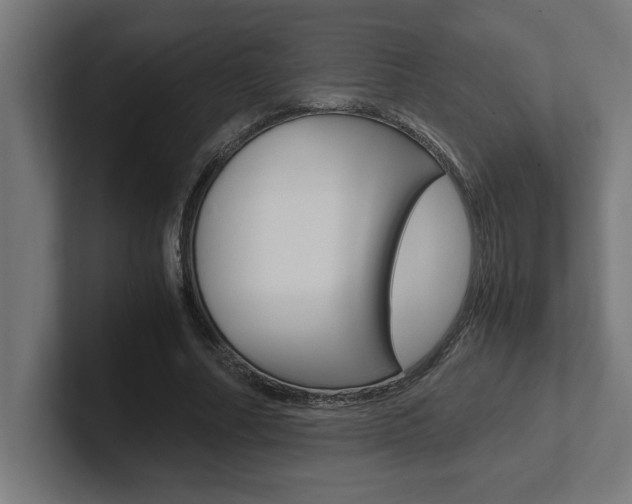 X0000102390682200808010935