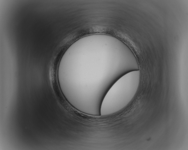 X0000102390683200808010935